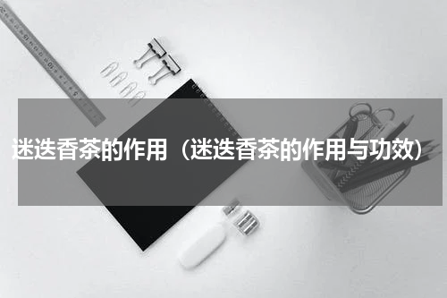 迷迭香茶的作用（迷迭香茶的作用与功效）