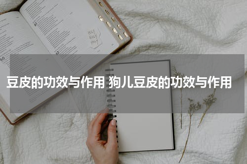 豆皮的功效与作用 狗儿豆皮的功效与作用