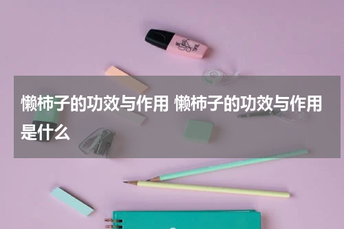 懒柿子的功效与作用 懒柿子的功效与作用是什么