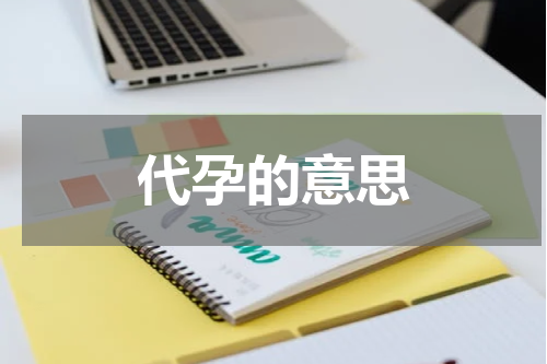 代孕的意思