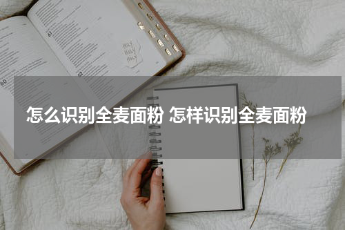 怎么识别全麦面粉 怎样识别全麦面粉