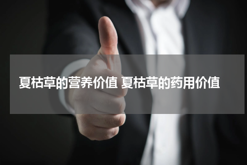夏枯草的营养价值 夏枯草的药用价值