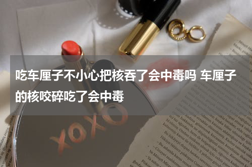 吃车厘子不小心把核吞了会中毒吗 车厘子的核咬碎吃了会中毒