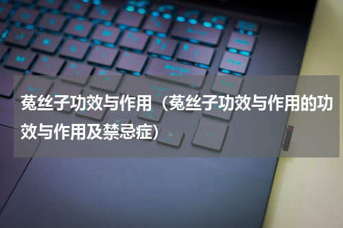 菟丝子功效与作用（菟丝子功效与作用的功效与作用及禁忌症）