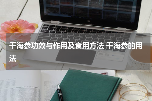 干海参功效与作用及食用方法 干海参的用法