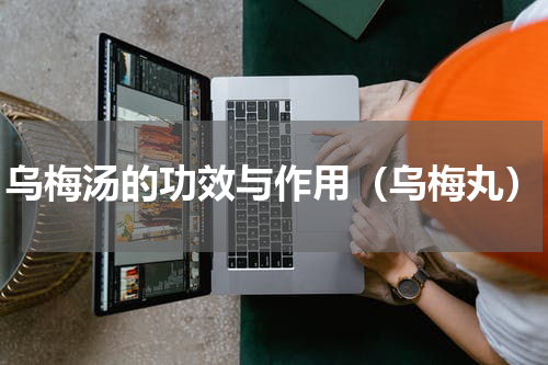 乌梅汤的功效与作用（乌梅丸）