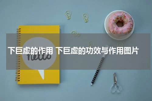 下巨虚的作用 下巨虚的功效与作用图片