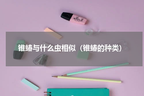 锥蝽与什么虫相似（锥蝽的种类）