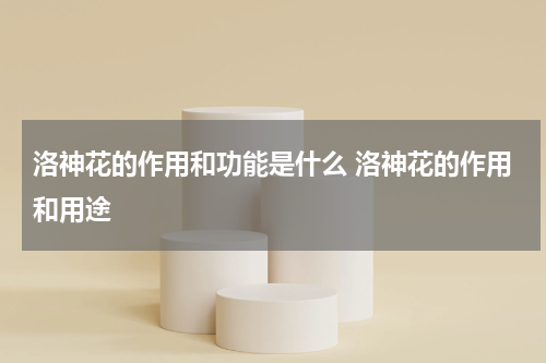 洛神花的作用和功能是什么 洛神花的作用和用途