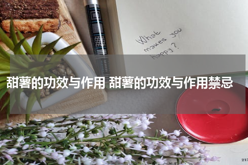 甜薯的功效与作用 甜薯的功效与作用禁忌