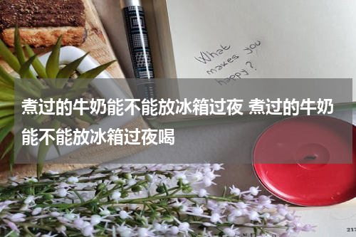 煮过的牛奶能不能放冰箱过夜 煮过的牛奶能不能放冰箱过夜喝