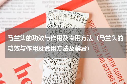 马兰头的功效与作用及食用方法（马兰头的功效与作用及食用方法及禁忌）