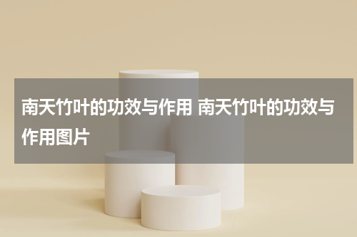 南天竹叶的功效与作用 南天竹叶的功效与作用图片