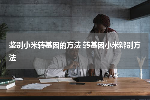 鉴别小米转基因的方法 转基因小米辨别方法