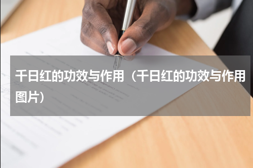千日红的功效与作用（千日红的功效与作用图片）