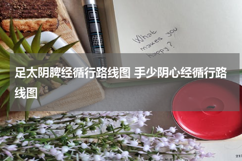 足太阴脾经循行路线图 手少阴心经循行路线图