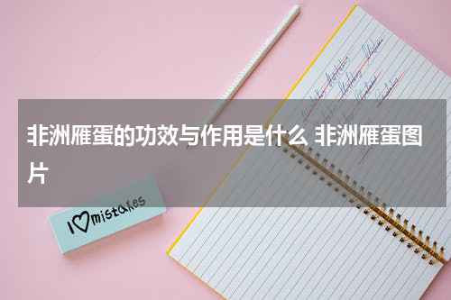 非洲雁蛋的功效与作用是什么 非洲雁蛋图片