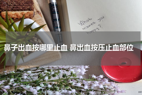 鼻子出血按哪里止血 鼻出血按压止血部位