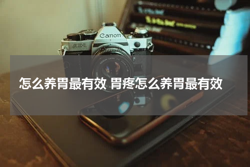 怎么养胃最有效 胃疼怎么养胃最有效