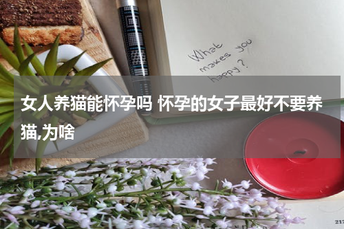 女人养猫能怀孕吗 怀孕的女子最好不要养猫,为啥