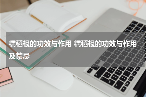 糯稻根的功效与作用 糯稻根的功效与作用及禁忌