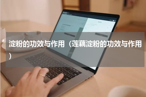 淀粉的功效与作用（莲藕淀粉的功效与作用）