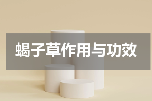 蝎子草作用与功效