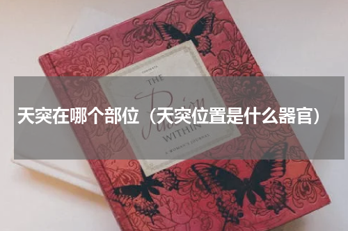 天突在哪个部位（天突位置是什么器官）