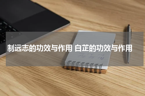 制远志的功效与作用 白芷的功效与作用