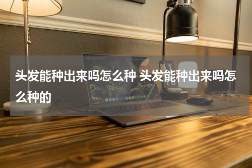 头发能种出来吗怎么种 头发能种出来吗怎么种的