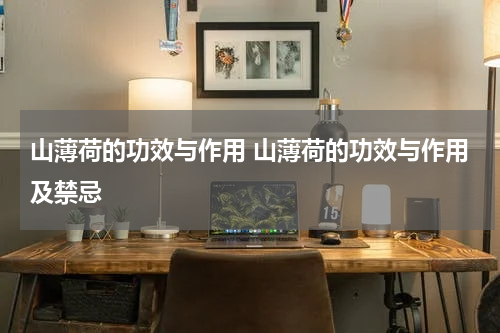 山薄荷的功效与作用 山薄荷的功效与作用及禁忌