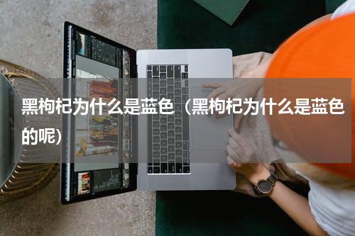 黑枸杞为什么是蓝色（黑枸杞为什么是蓝色的呢）