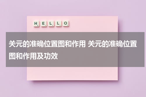 关元的准确位置图和作用 关元的准确位置图和作用及功效
