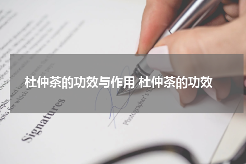 杜仲茶的功效与作用 杜仲茶的功效