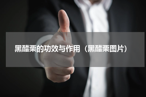 黑醋栗的功效与作用（黑醋栗图片）