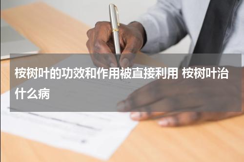 桉树叶的功效和作用被直接利用 桉树叶治什么病