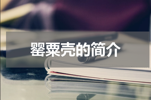 罂粟壳的简介