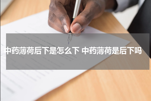 中药薄荷后下是怎么下 中药薄荷是后下吗