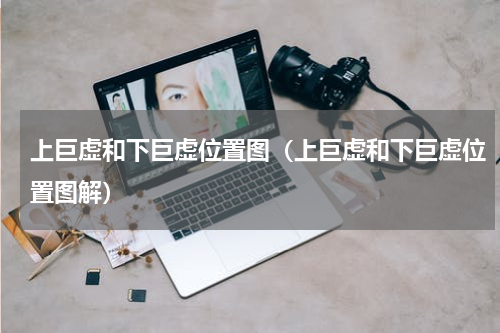上巨虚和下巨虚位置图（上巨虚和下巨虚位置图解）
