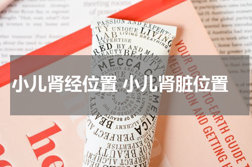 小儿肾经位置 小儿肾脏位置