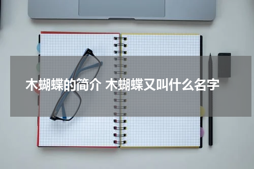 木蝴蝶的简介 木蝴蝶又叫什么名字