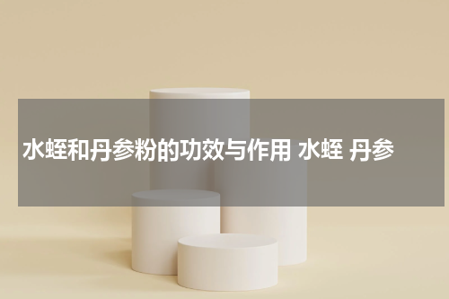 水蛭和丹参粉的功效与作用 水蛭 丹参