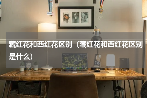 藏红花和西红花区别（藏红花和西红花区别是什么）