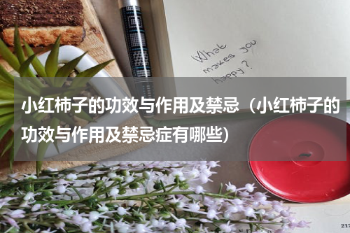 小红柿子的功效与作用及禁忌（小红柿子的功效与作用及禁忌症有哪些）