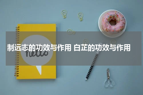 制远志的功效与作用 白芷的功效与作用