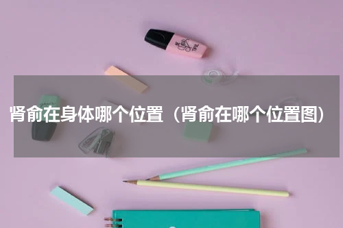 肾俞在身体哪个位置（肾俞在哪个位置图）
