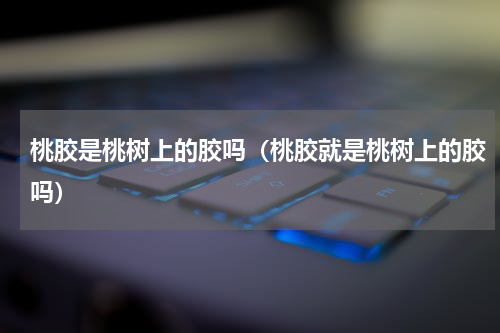 桃胶是桃树上的胶吗（桃胶就是桃树上的胶吗）