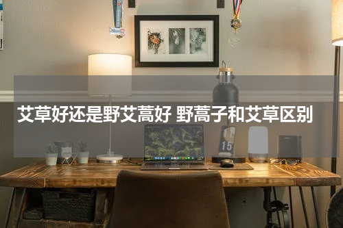 艾草好还是野艾蒿好 野蒿子和艾草区别