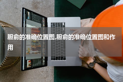 胆俞的准确位置图,胆俞的准确位置图和作用