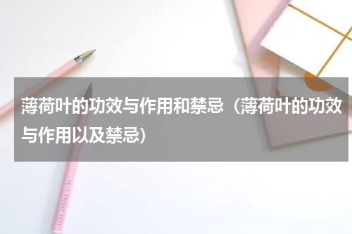 薄荷叶的功效与作用和禁忌（薄荷叶的功效与作用以及禁忌）